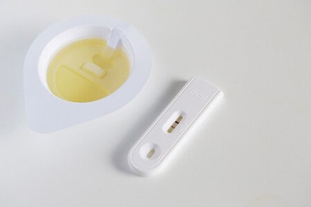 female reproductive system, highlighting the ovaries with multiple cysts, 